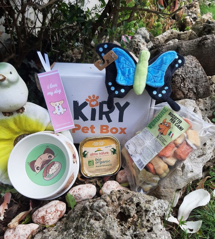 DOGGY BOX MONTHLY SUBSCRIPTION