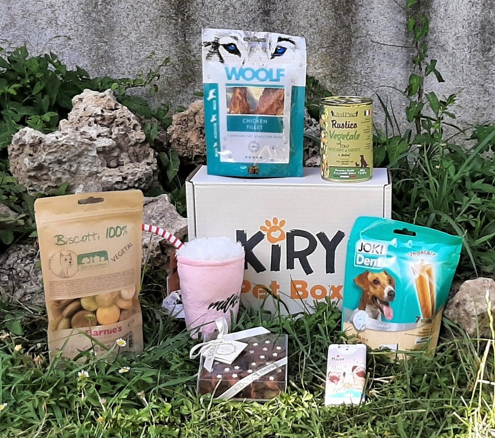 DOGGY BOX MONTHLY SUBSCRIPTION