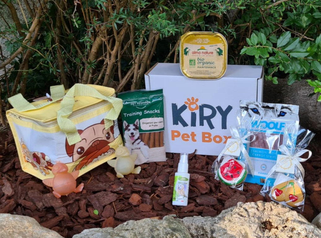 DOGGY BOX MONTHLY SUBSCRIPTION