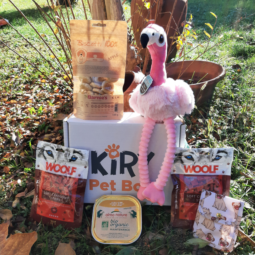 DOGGY BOX MONTHLY SUBSCRIPTION