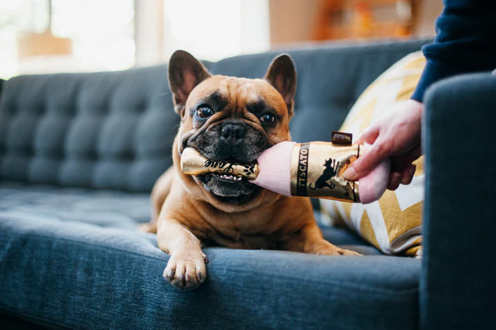 Play - Gioco per Cani Barking Bubbly