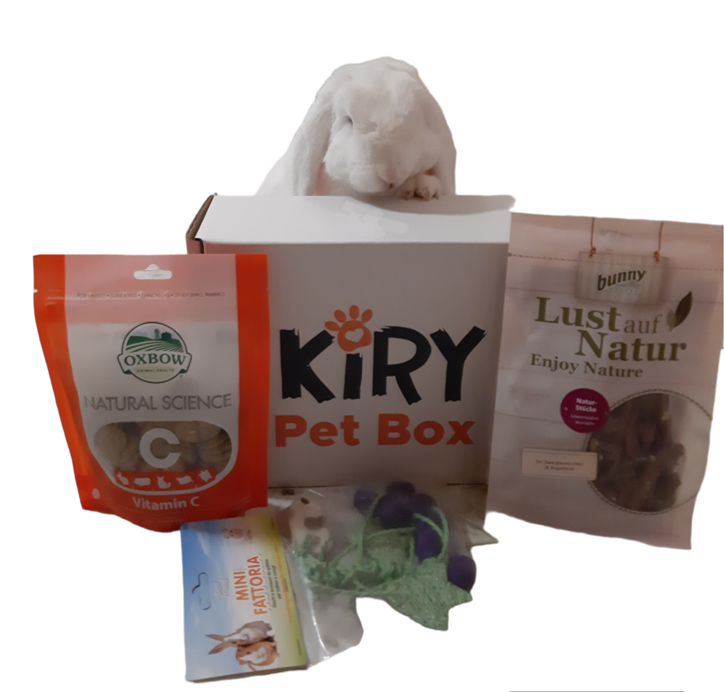 BUNNY BOX EVERY TWO MONTHS