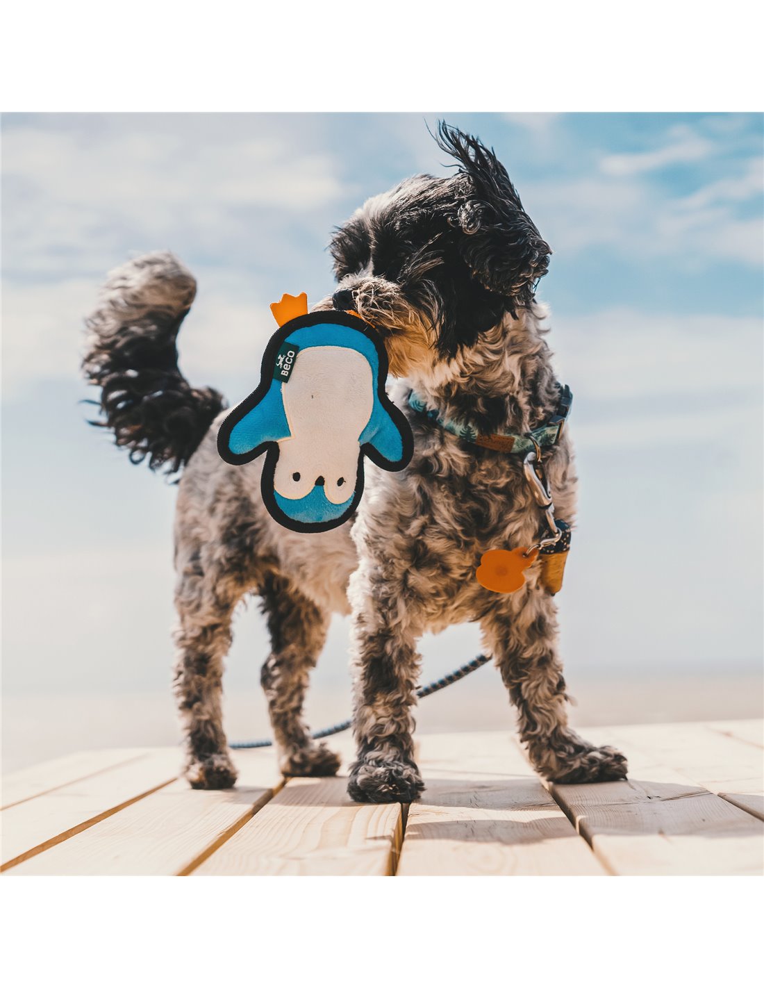 Dog Game - PENGUIN