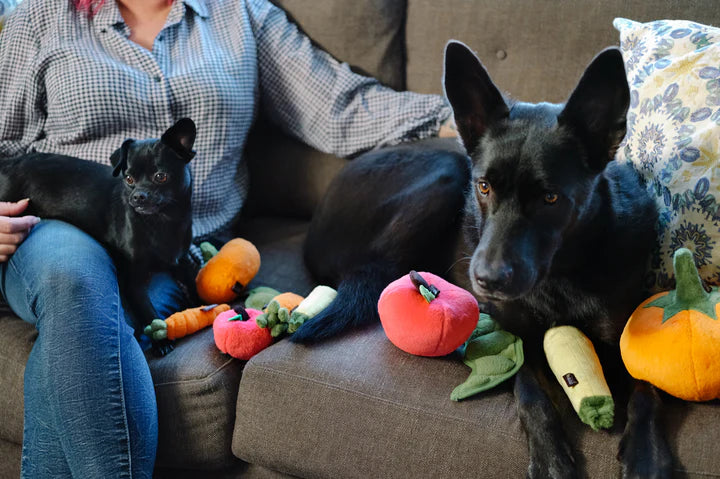 Fluffy Box Regalo per Cani - Solo Peluche! - Taglia xs/s