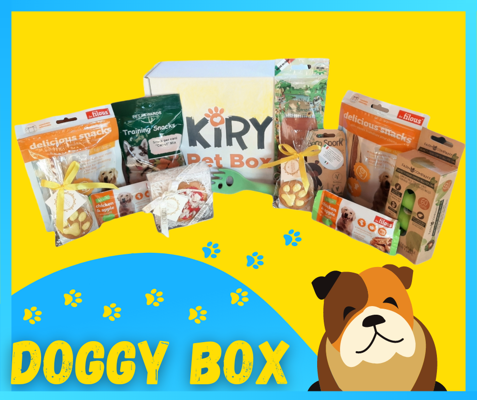 DOGGY BOX MAGGIO