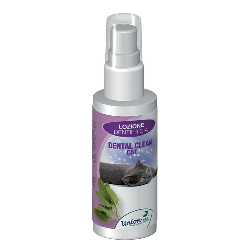 Toothpaste Lotion
