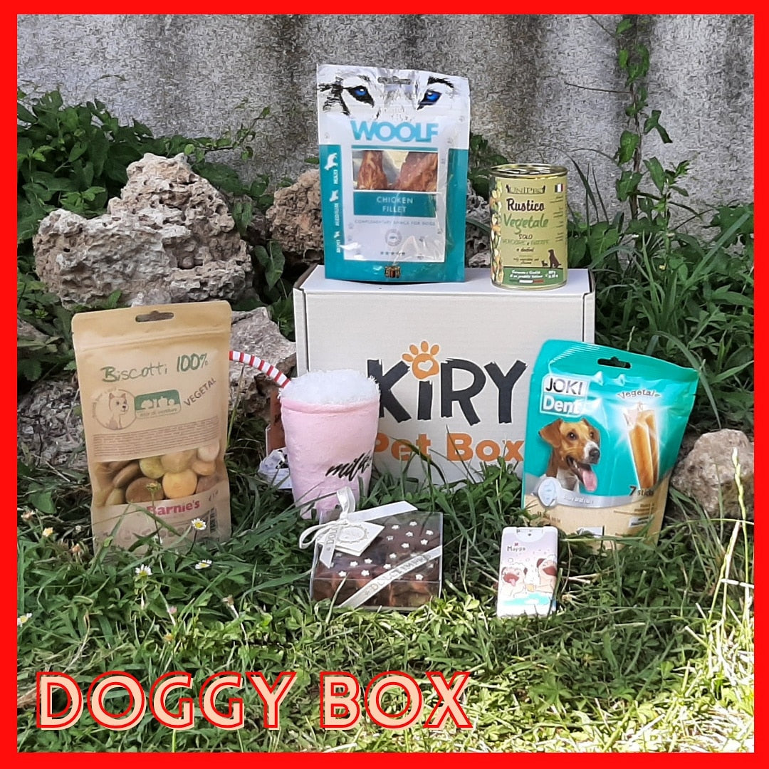 DOGGY BOX JULY