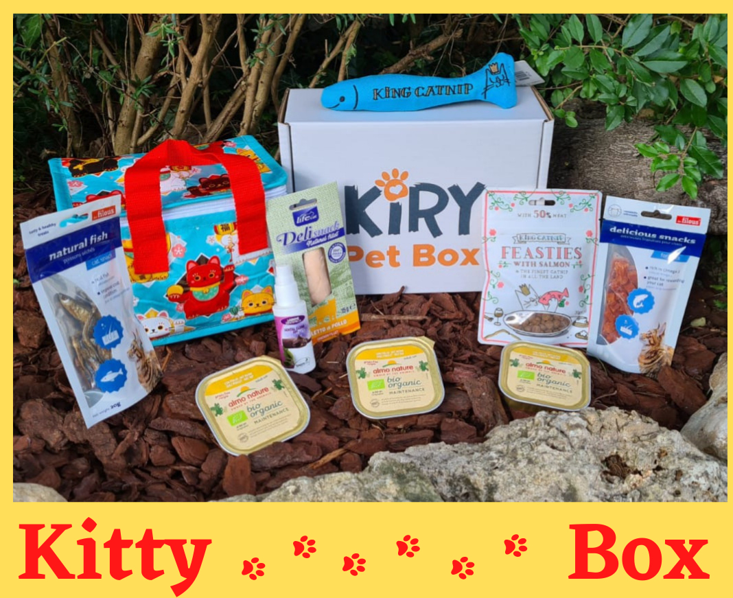 KITTY BOX AUGUST