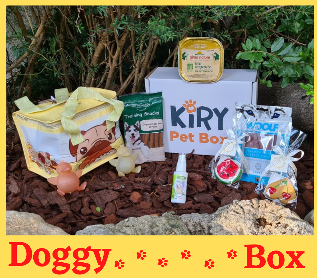 DOGGY BOX AUGUST