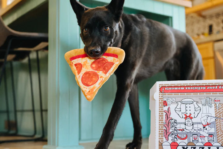 Play - Gioco per Cani Pizza