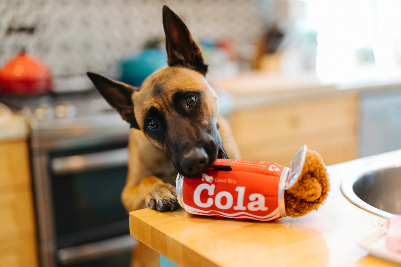 Cola Can Game
