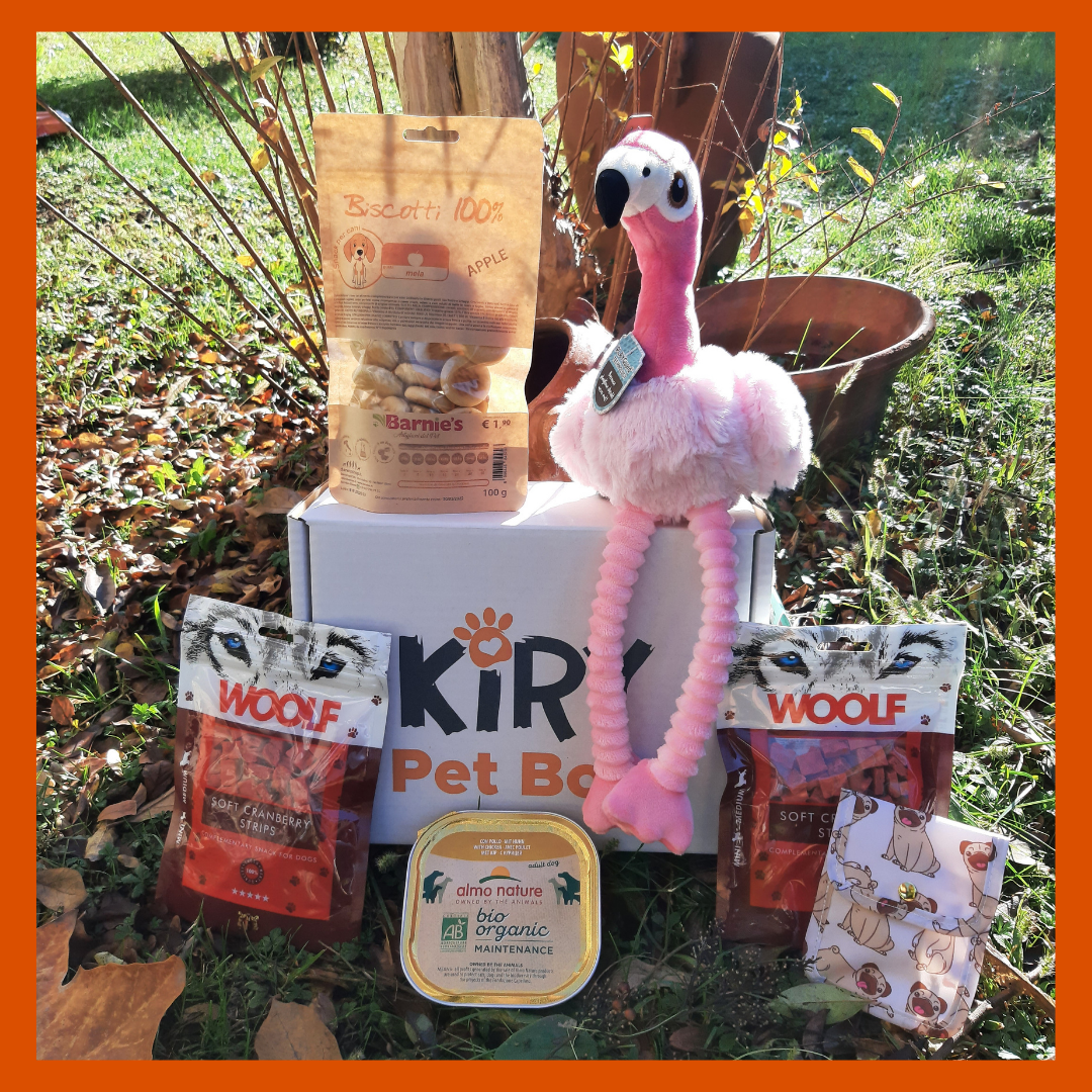 DOGGY BOX NOVEMBER