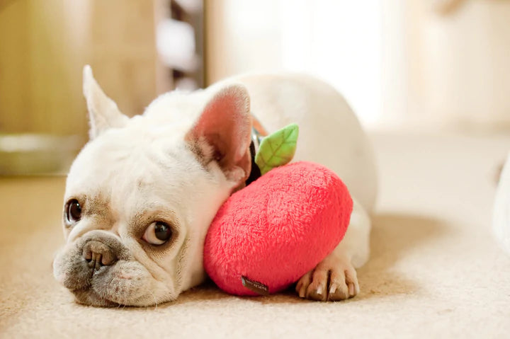 Play - Gioco per Cani Mela M/L