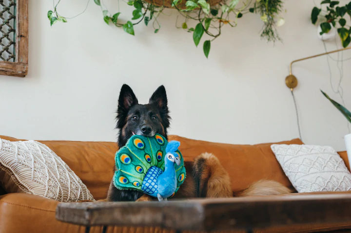 Gioco in Peluche - Pavone Percy (Peacock) | P.L.A.Y.