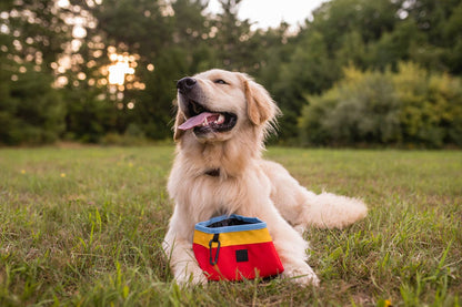 Ciotola da Viaggio Oxford 2,3L | P.L.A.Y.