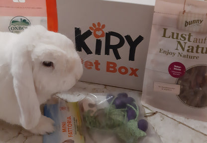 BUNNY BOX OGNI DUE MESI