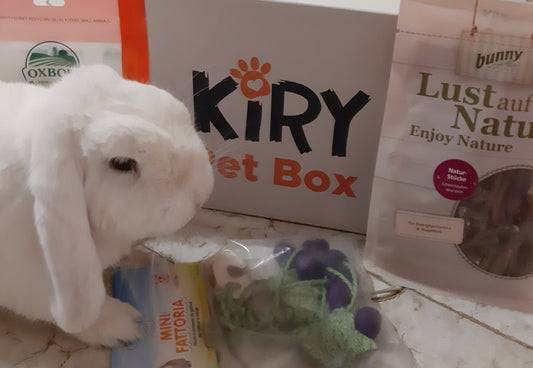 BUNNY BOX EVERY TWO MONTHS