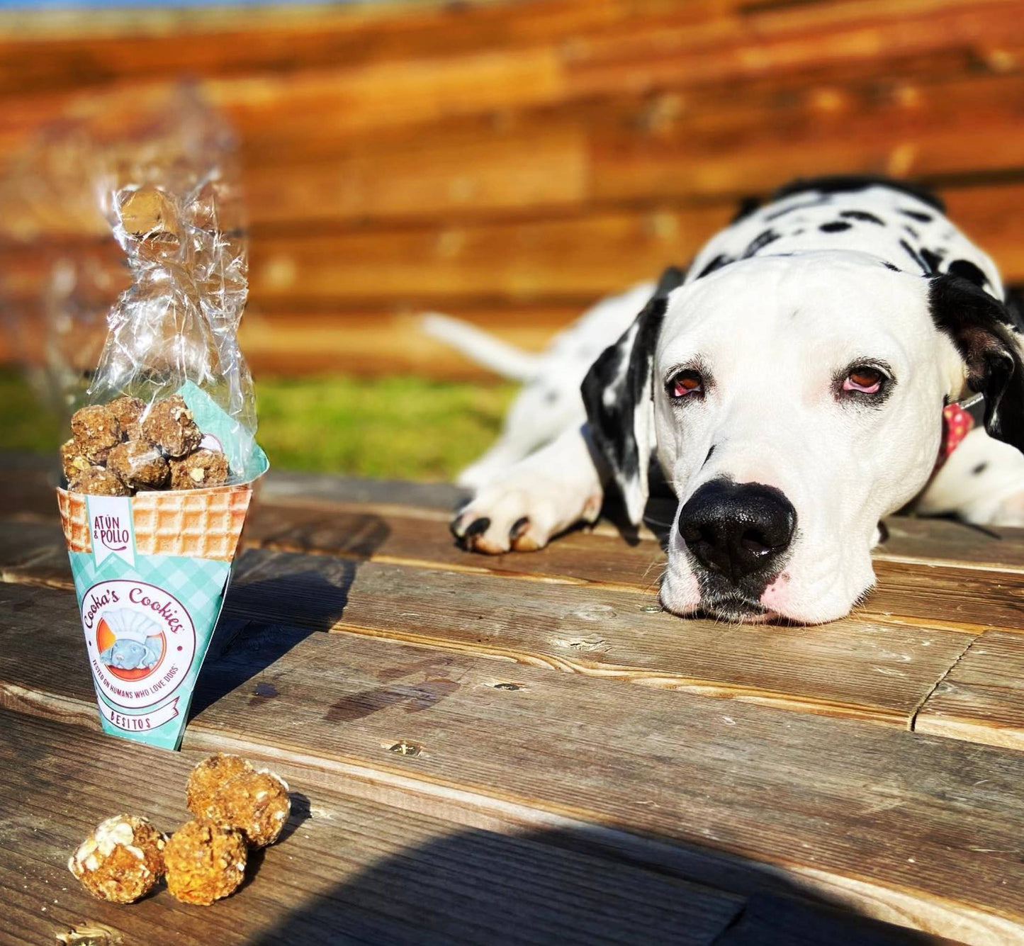 Beijinhos - Biscotti croccanti naturali al Pollo e Tonno
