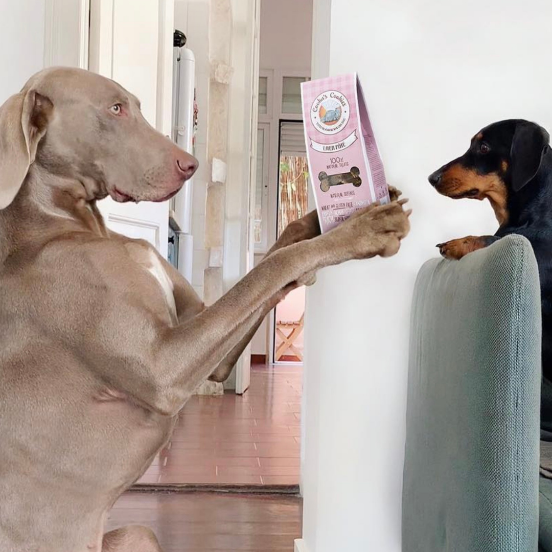 Snack Croccante - Fegato e Bacche | Cooka's Cookies