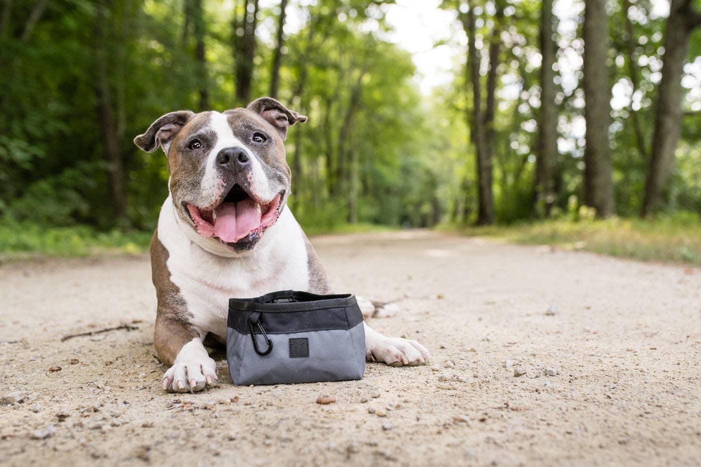 Ciotola da Viaggio Oxford 2,3L | P.L.A.Y.