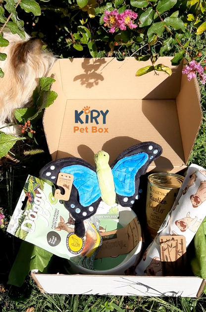 DOGGY BOX MENSILE