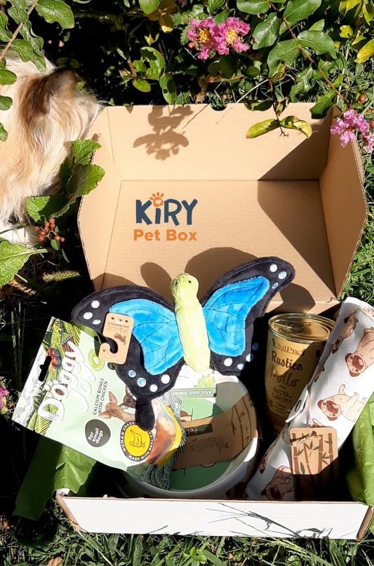 DOGGY BOX MONTHLY SUBSCRIPTION
