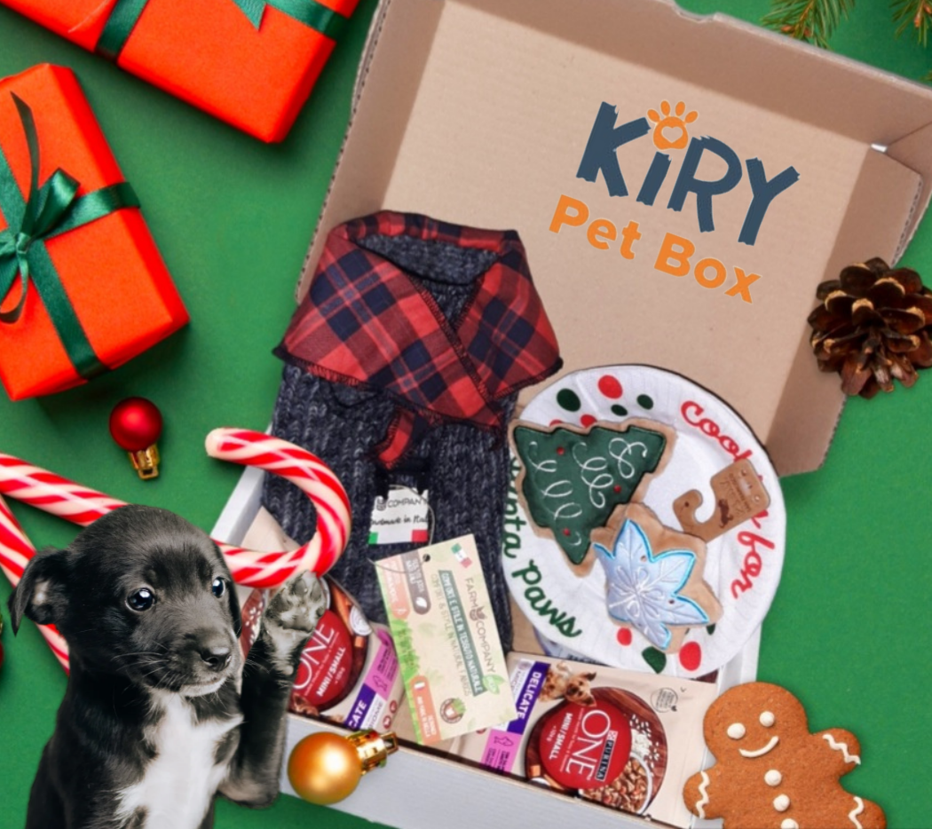 Christmas Gift Box for Dogs - Size XS/S