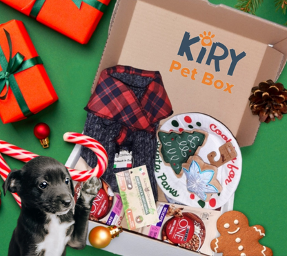 Box Regalo di Natale per Cani - Taglia XS/S