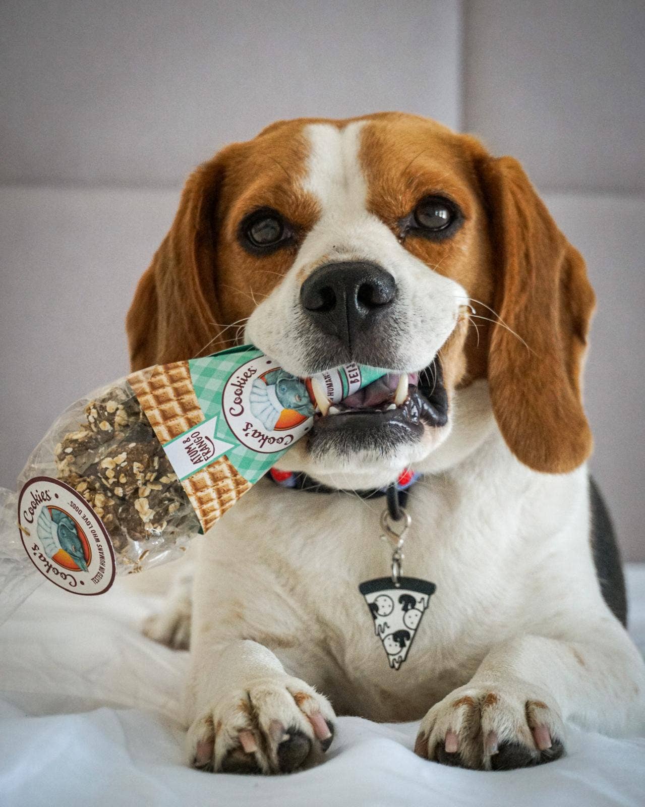 Beijinhos - Biscotti croccanti naturali al Pollo e Tonno