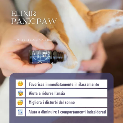 Roll-on Anti-Stress per Cani – Oli Essenziali Bio