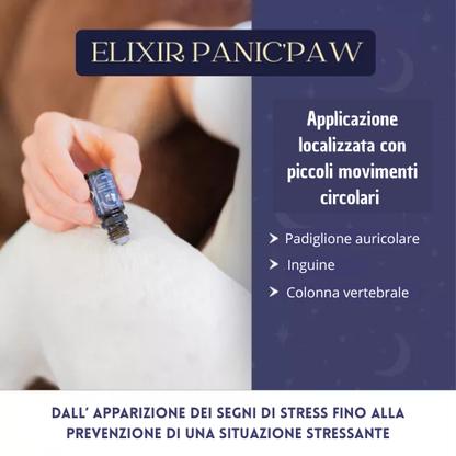 Roll-on Anti-Stress per Cani – Oli Essenziali Bio