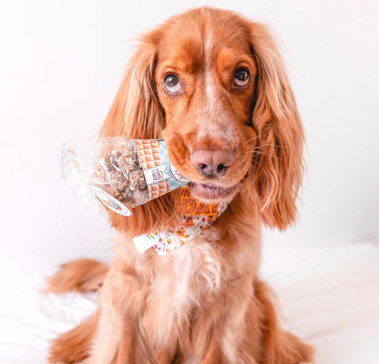 Beijinhos - Biscotti croccanti naturali al Pollo e Tonno