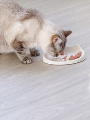 Ciotola per Gatti - Meoow Rosa | inooko