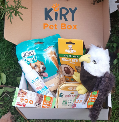 DOGGY BOX FEBRUARY