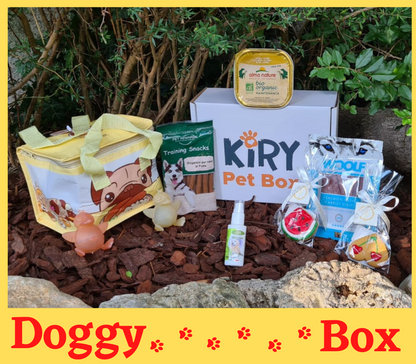 DOGGY BOX AGOSTO