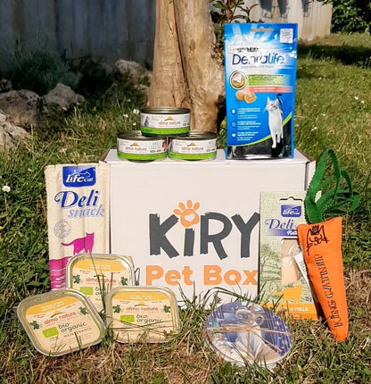 JUNE KITTY BOX