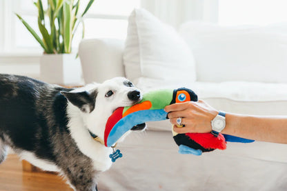 Play - Gioco per Cani Tucano
